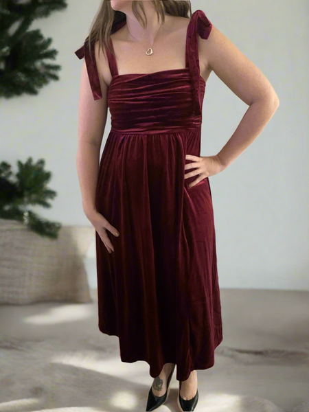 Silent Night Velvet Dress