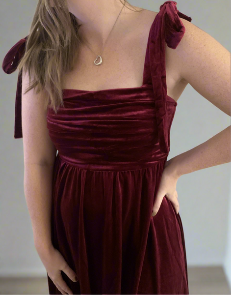 Silent Night Velvet Dress